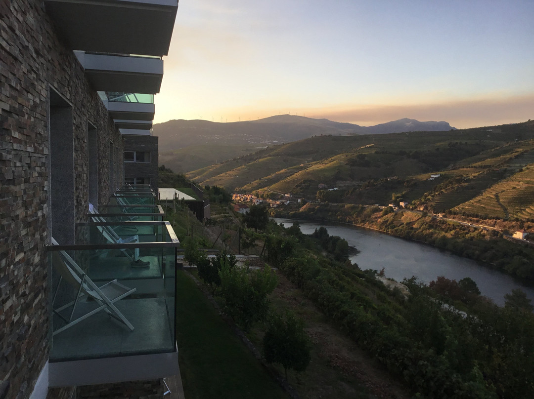 Delfim Douro Hotel主图
