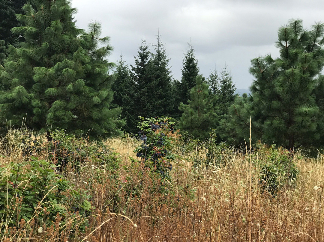 Cooper Mountain Nature Park-比弗顿必去景点