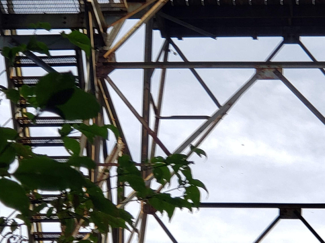 Monongahela National Forest-Elkins必去景点