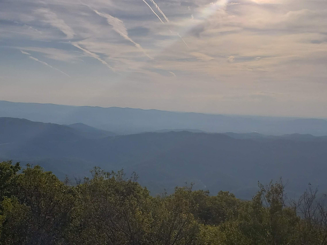 Monongahela National Forest-Elkins必去景点