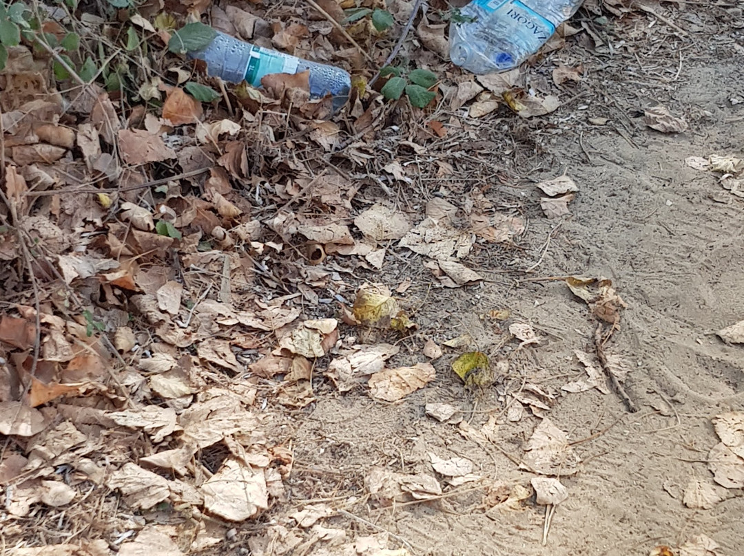 Astrakeri Beach-Astrakeri必去景点