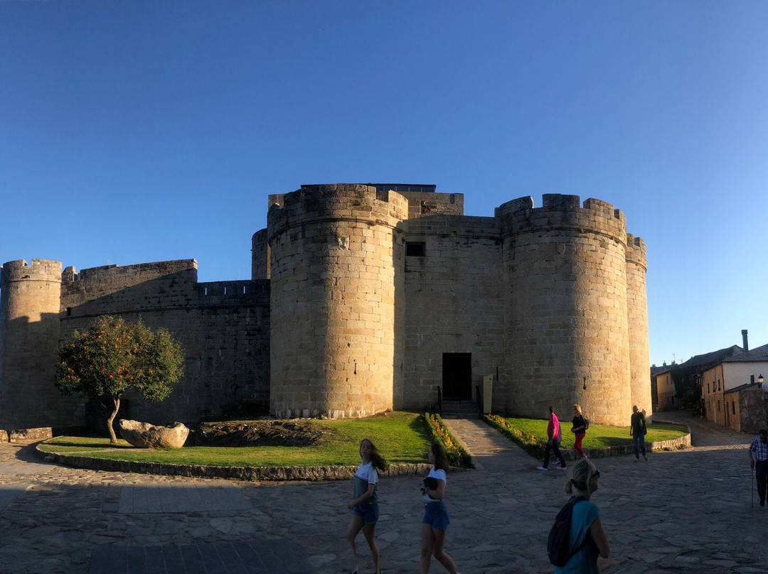 Castillo de Los Condes de Benavente景点图片