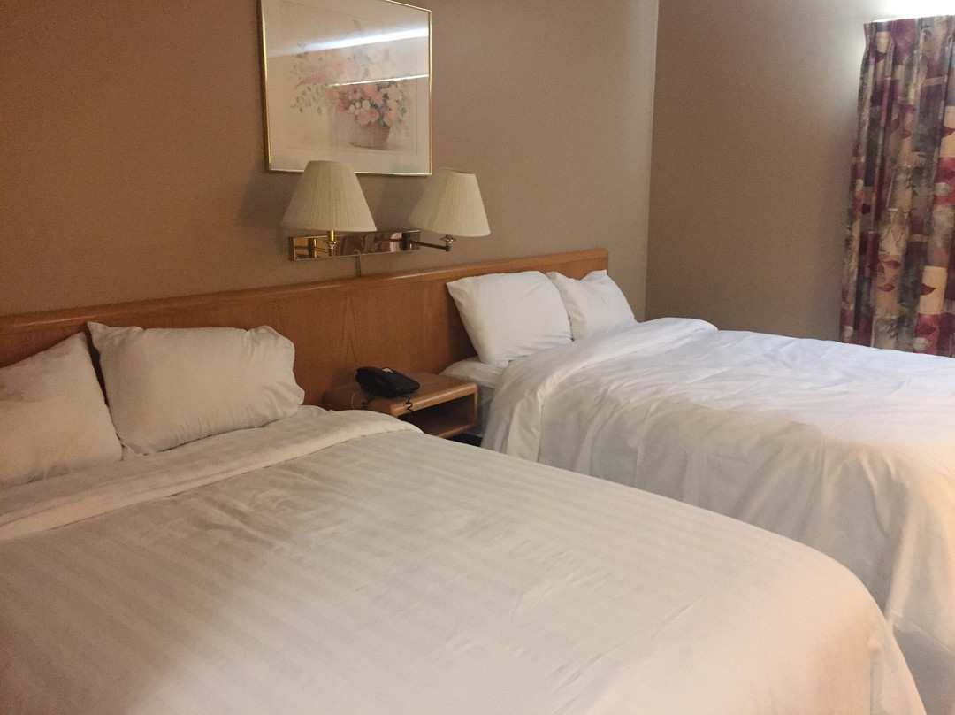 The Wilds at Salmonier River Hotel Rooms & Suites主图