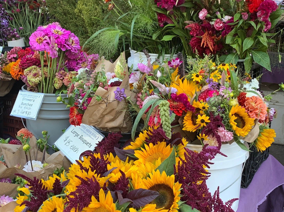 Boulder County Farmers Market-博尔德必去景点