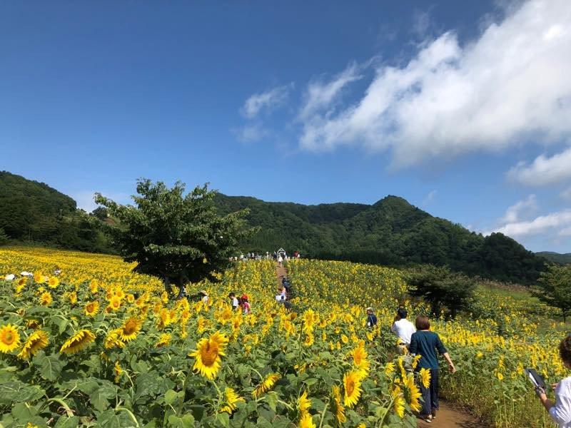 Sannokura Ski Area-喜多方市必去景点