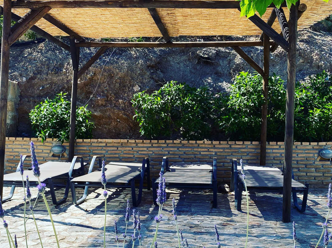 Daskalio旅游景点-Solo Pino