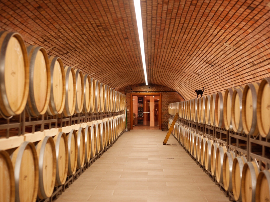 Weingut Lentsch-Podersdorf am See必去景点