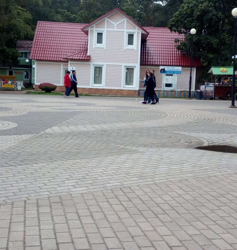 Zelenogorsk Recreation Park景点图片