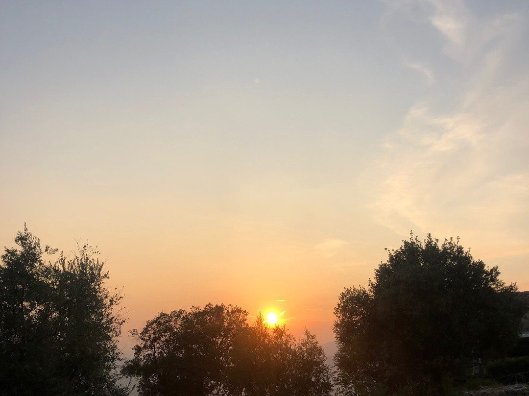 Relais Villa San Bastiano主图