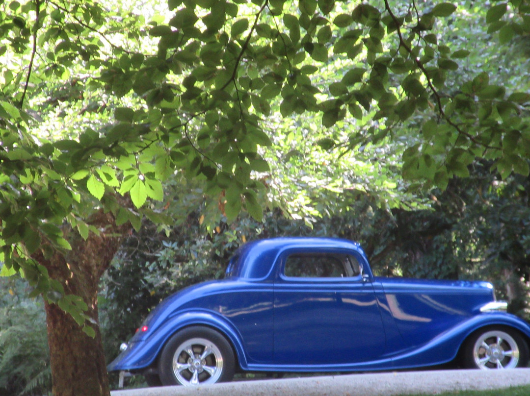 Williams Park-兰里市必去景点