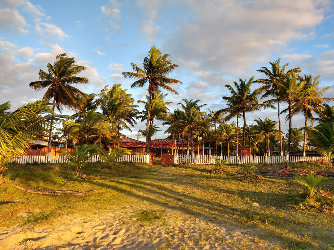 Nazare酒店住宿-Ziggy Pousada