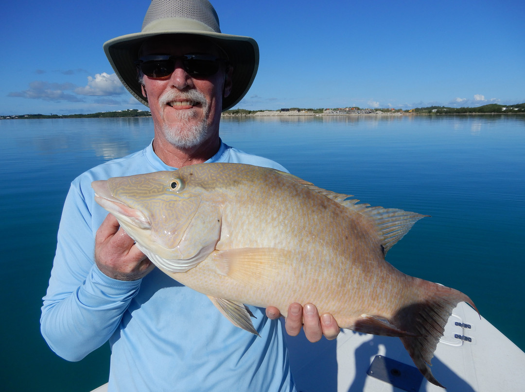 Jump Dem Bones Flyfishing-汉密尔顿必去景点