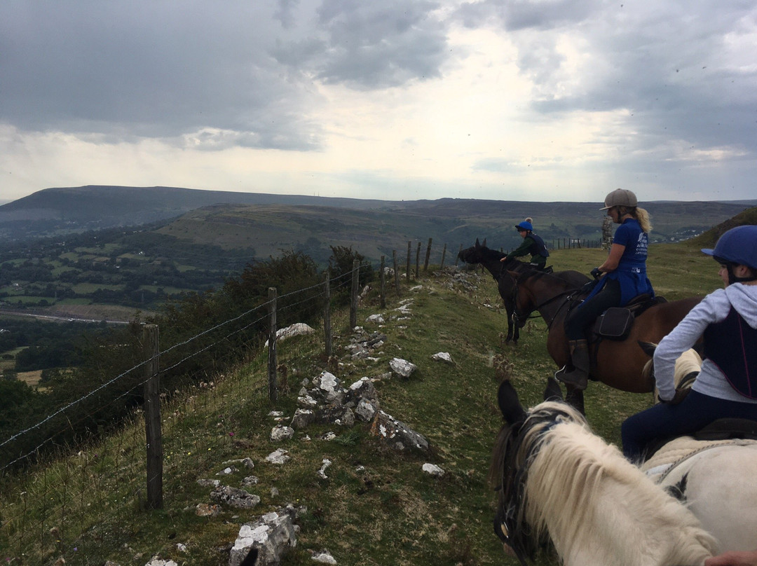 Wern Trekking and Riding Centre-Crickhowell必去景点