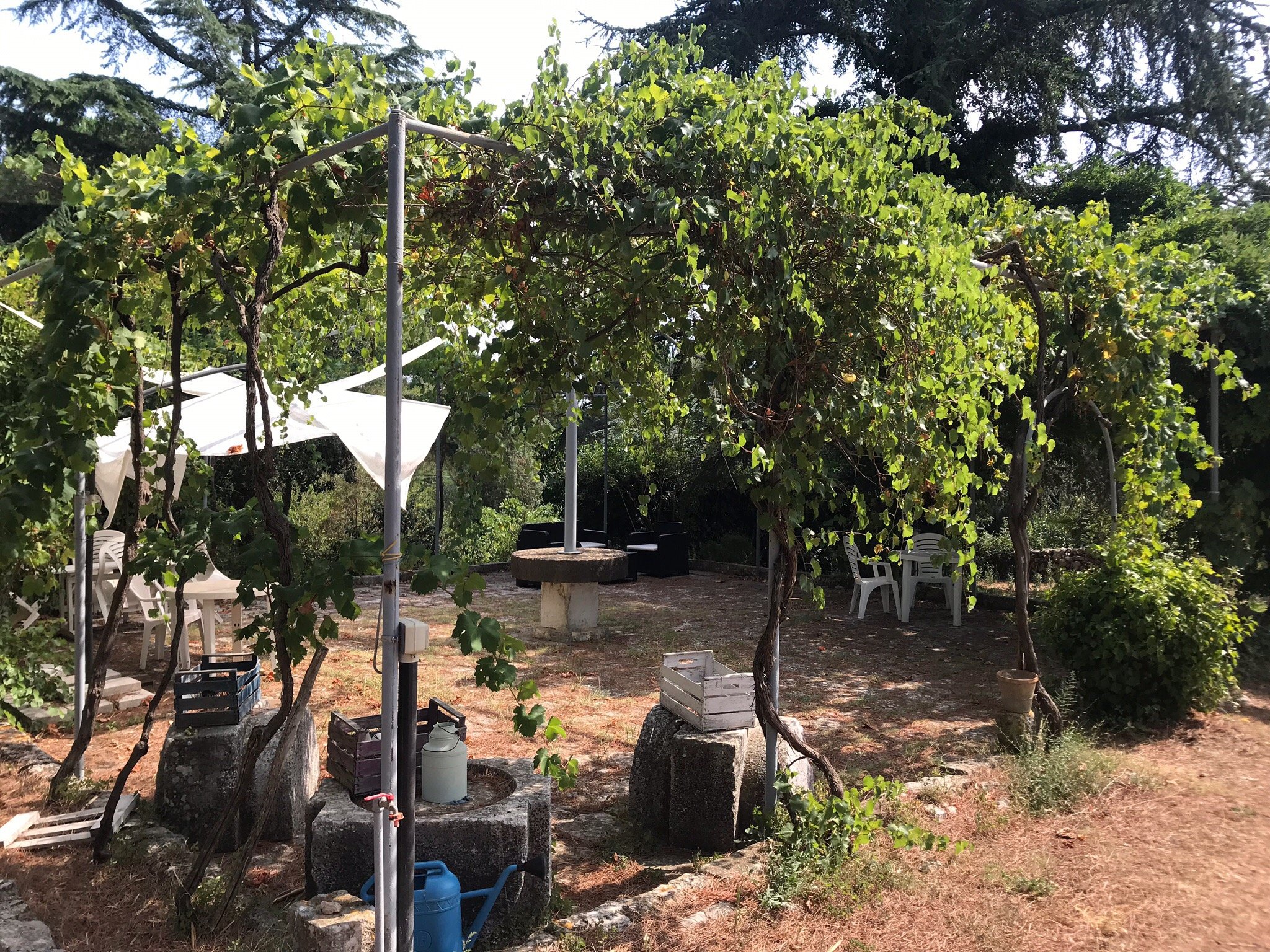 维格纳公园酒店-官方