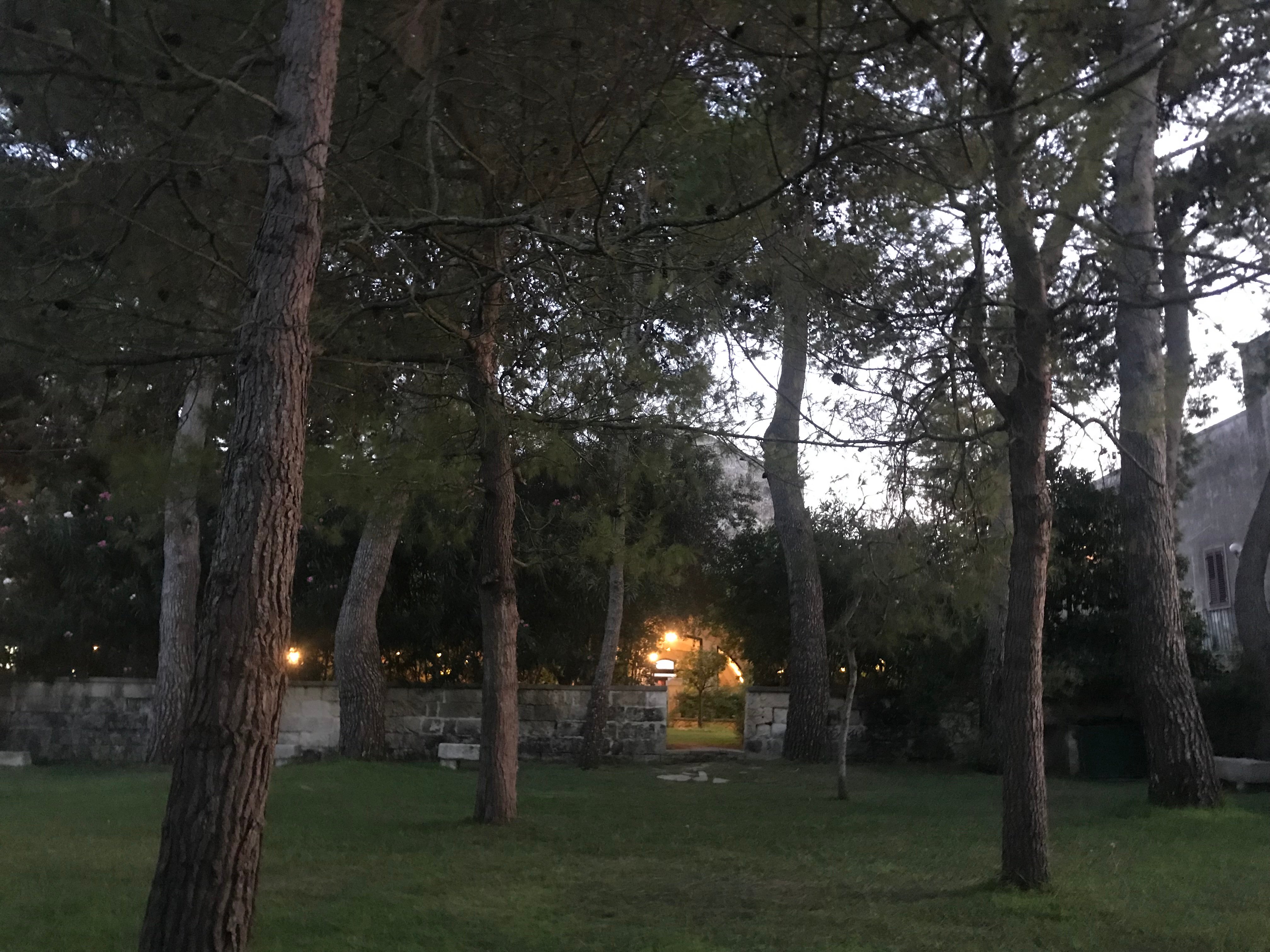 Masseria Gattamora-官方