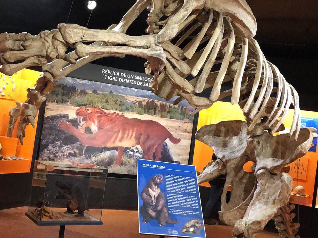 Museo Colchagua-圣克鲁斯必去景点