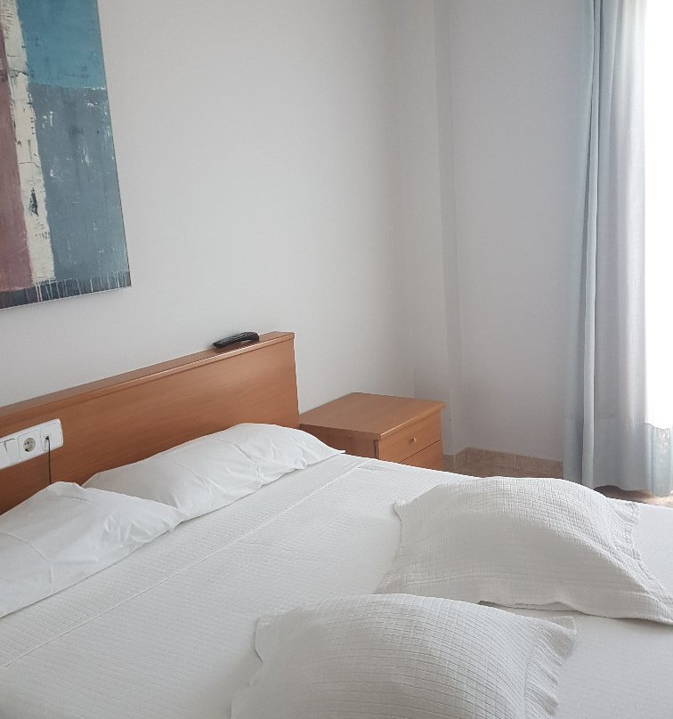 Hotel La Roca Plana主图