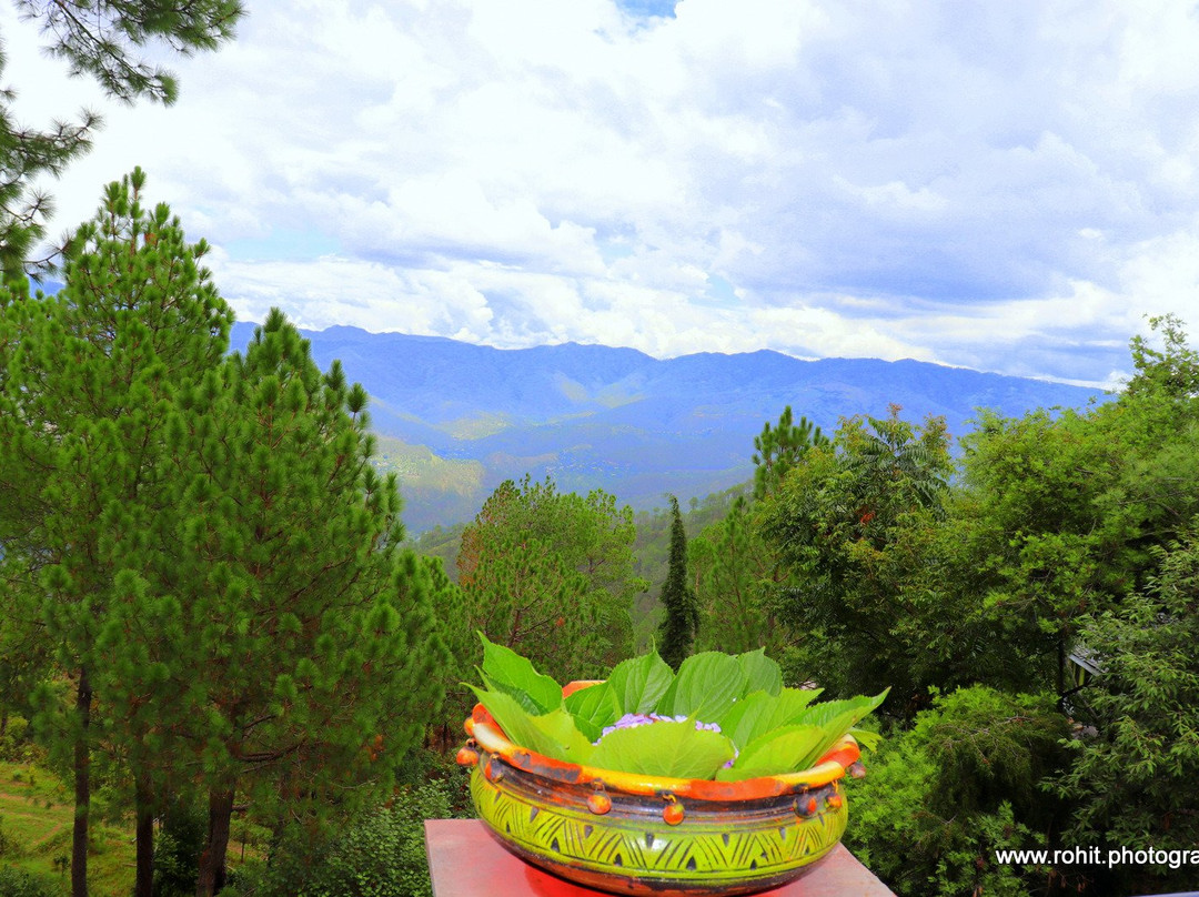 Roseville Cottage主图