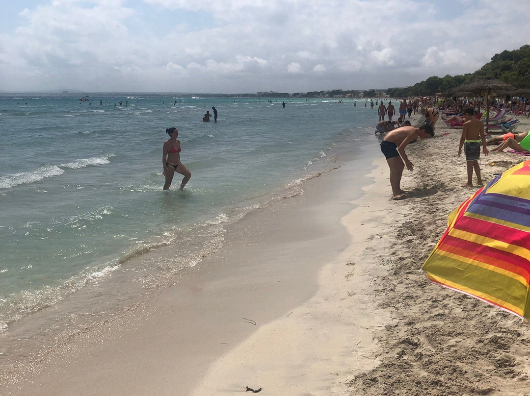 Playa Porto Novo-Palmanova必去景点