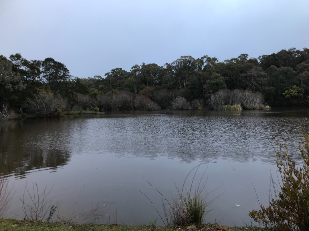Wombat Flat Mineral Spring-戴尔斯福特必去景点