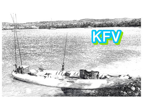 Bieque Eco Trips - Tours-维切克岛必去景点