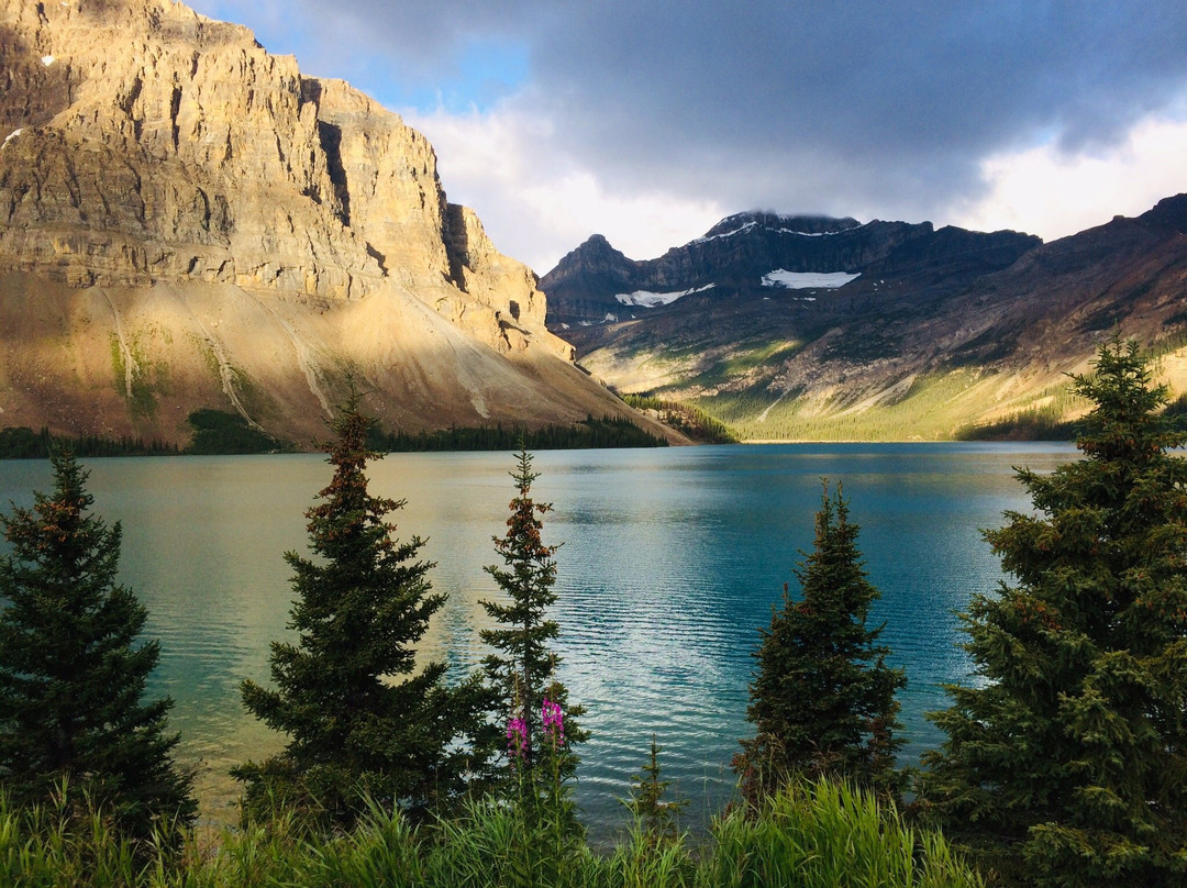 Bow Glacier Falls Trail-路易斯湖必去景点