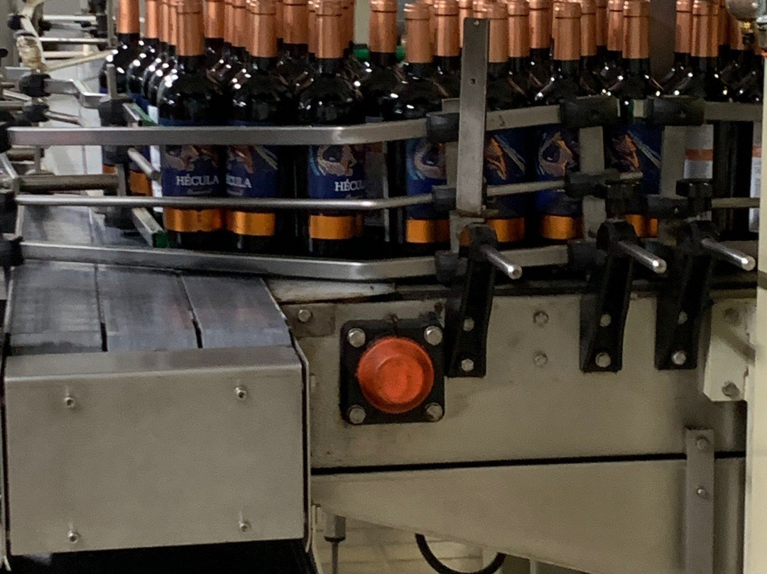 Bodegas Castaño-Yecla必去景点