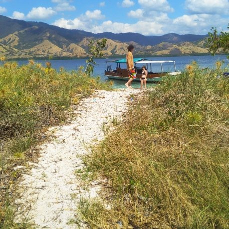 Komodo Island-科莫多国家公园必去景点