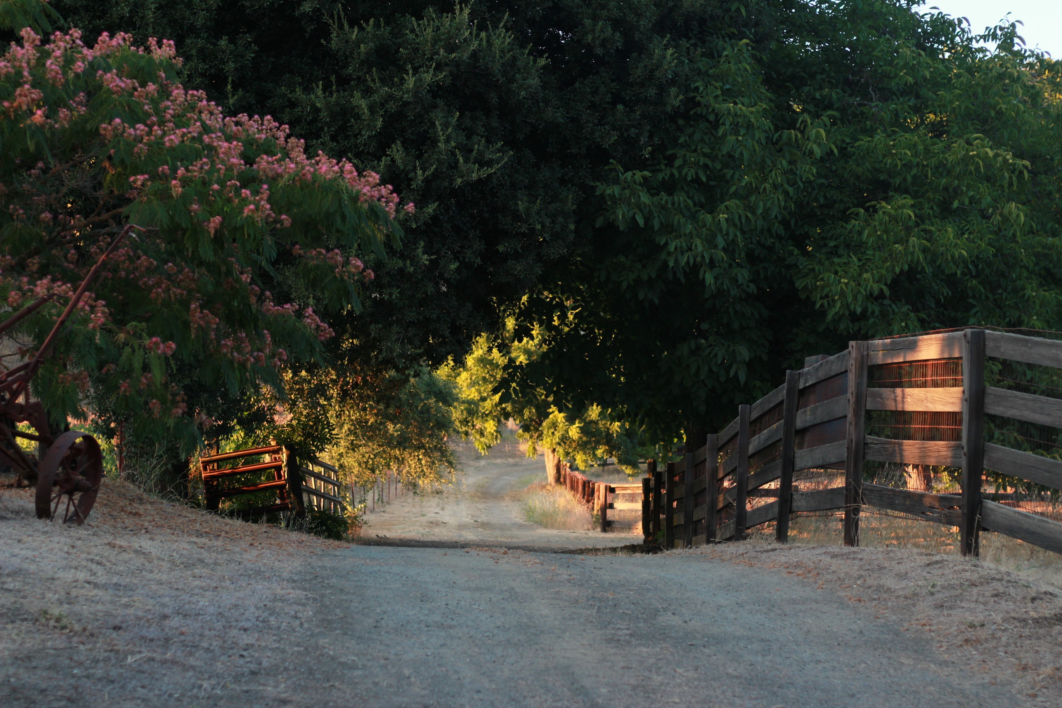 RustRidge B&B / Winery-浴室