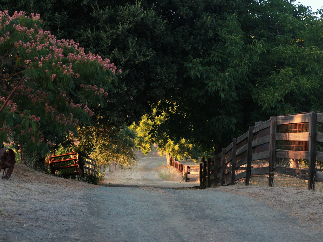 RustRidge B&B / Winery主图