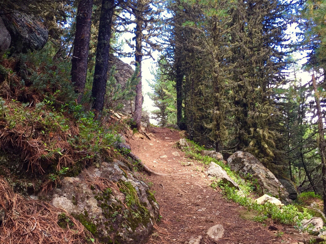 Apart Felsenhof主图