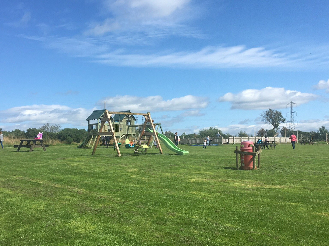 Sperrin Fun Farm-Feeny必去景点