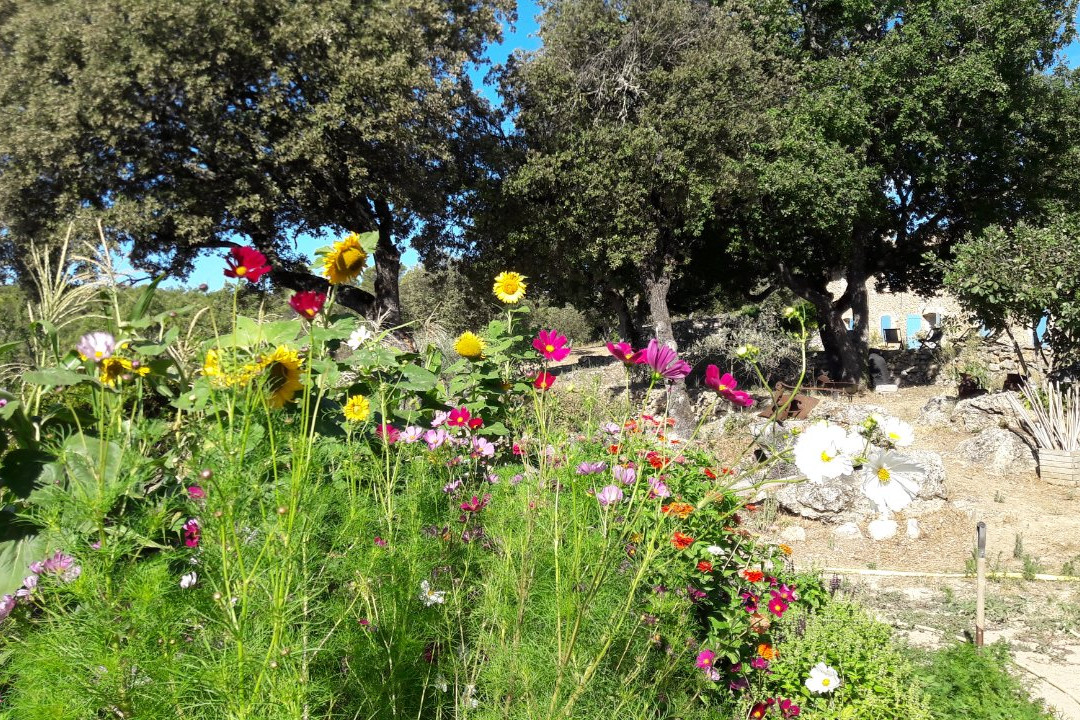 Brue-Auriac旅游攻略图片