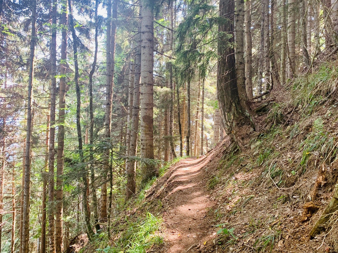 Borjomi-Kharagauli National Park-Borjomi必去景点