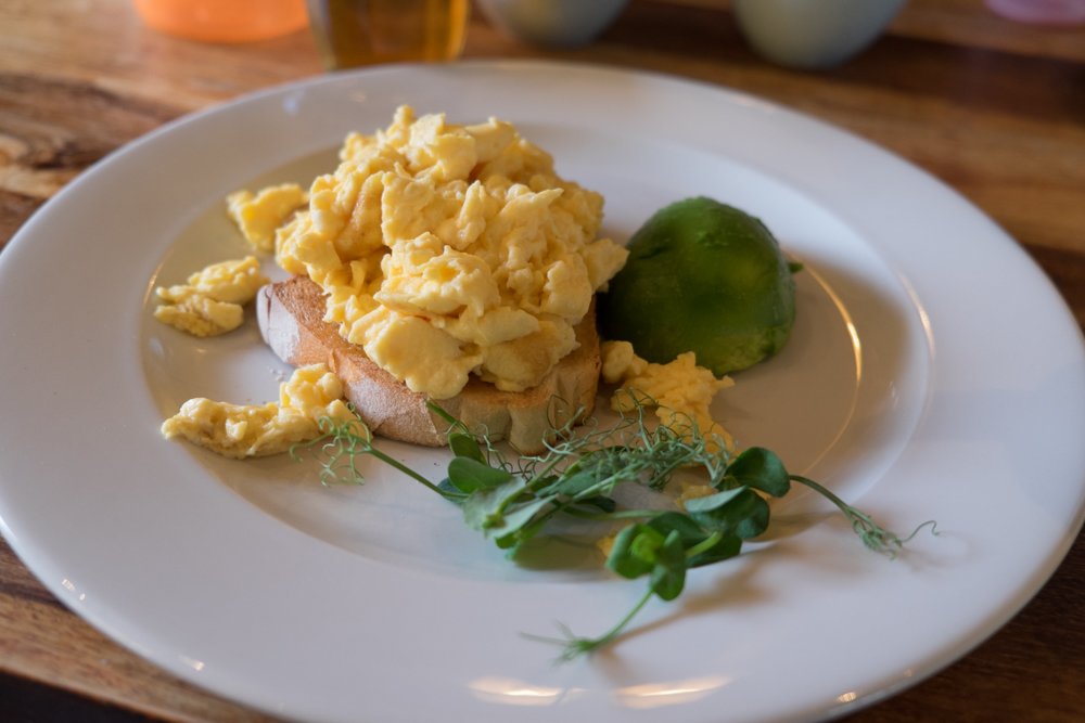 The Bird in Hand-餐饮