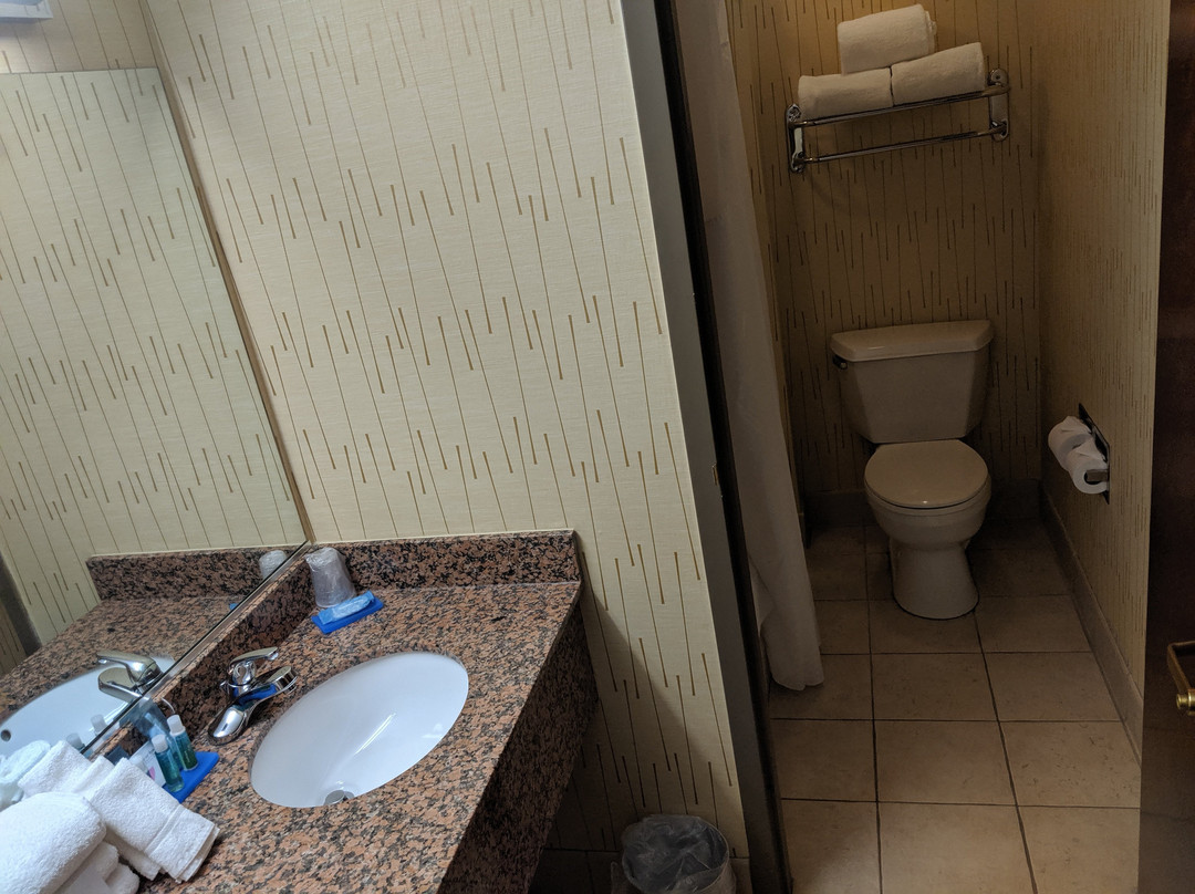 Holiday Inn Express & Suites Gibson By IHG主图