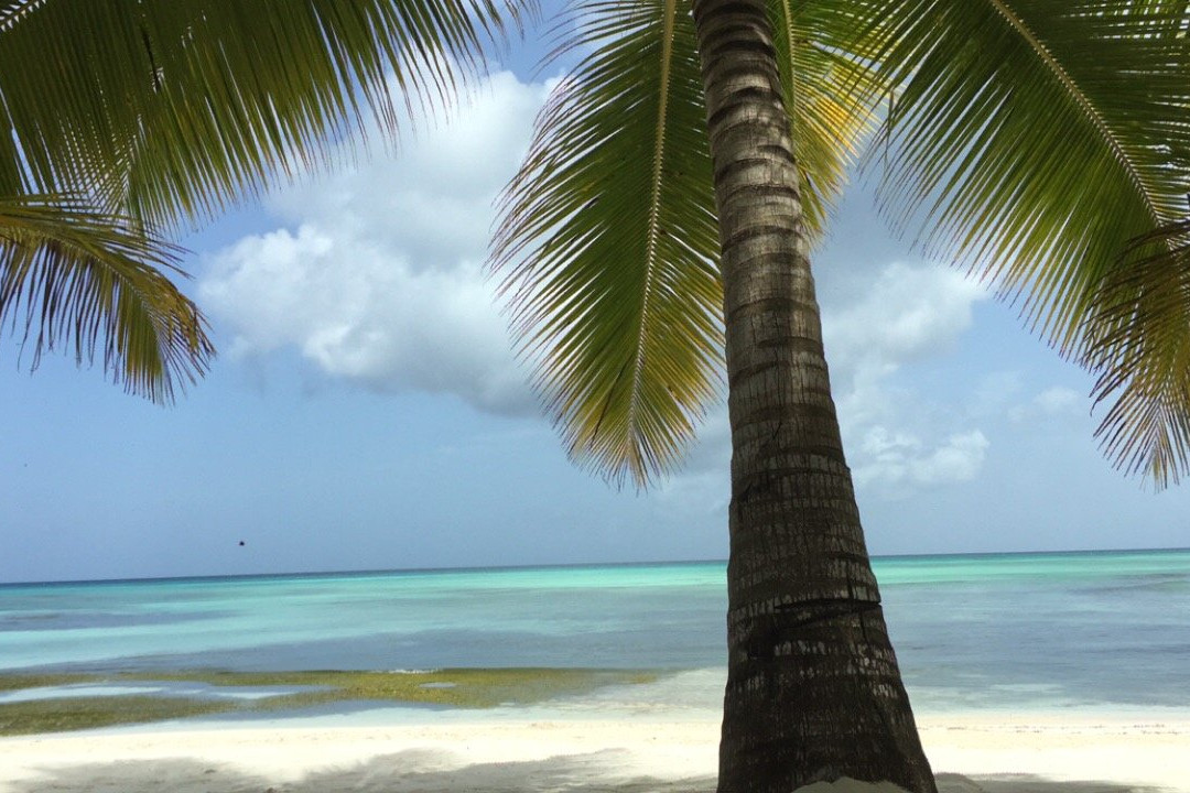 Dominicanvisit1-Bayahibe必去景点