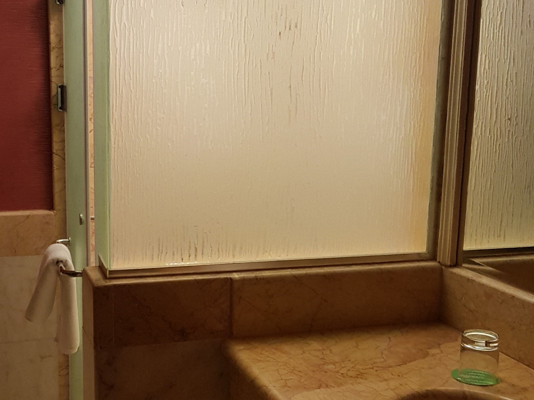 Wyndham Garden Dammam主图