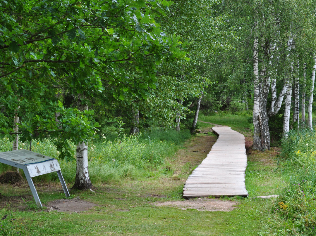Araisi Lake Dwelling Site-Cesis必去景点