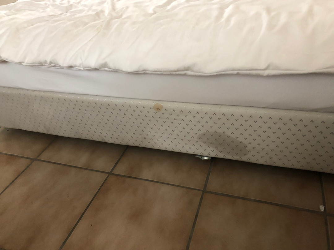 Hotel du Cerf主图