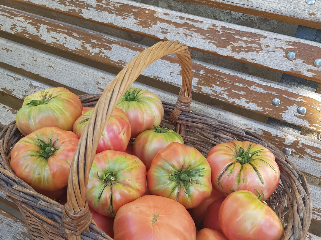 Domaine du Bois de Saint Jean-Jonquerettes必去景点