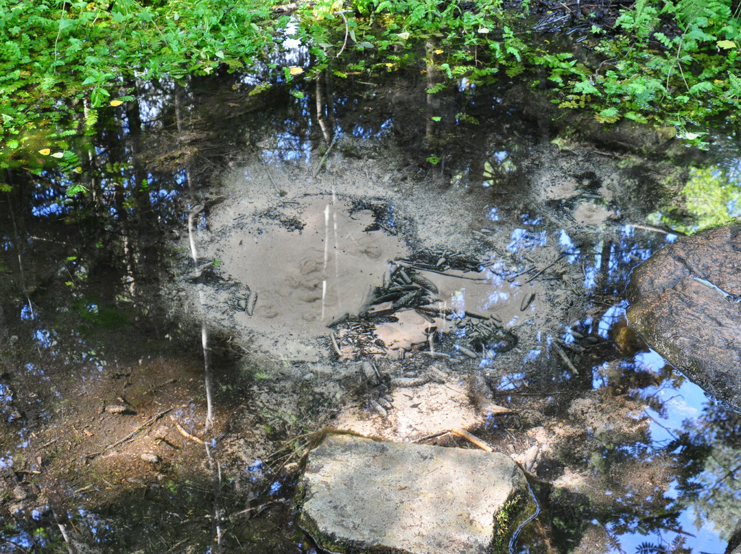 Odalatsi Springs-Odalatsi必去景点