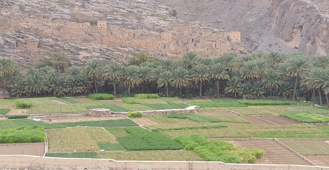 Jabal Shems Travel Tour景点图片