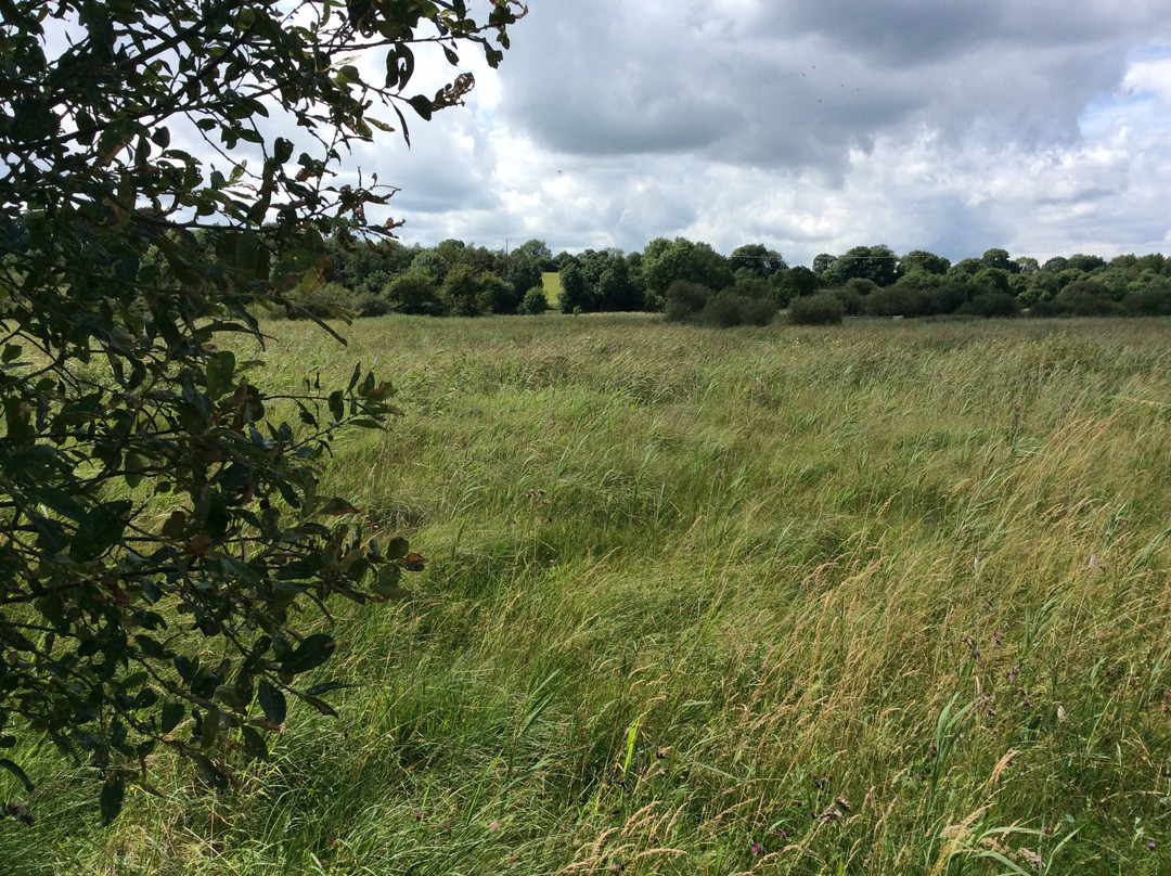 Pollardstown Fen Nature Reserve-Newbridge必去景点