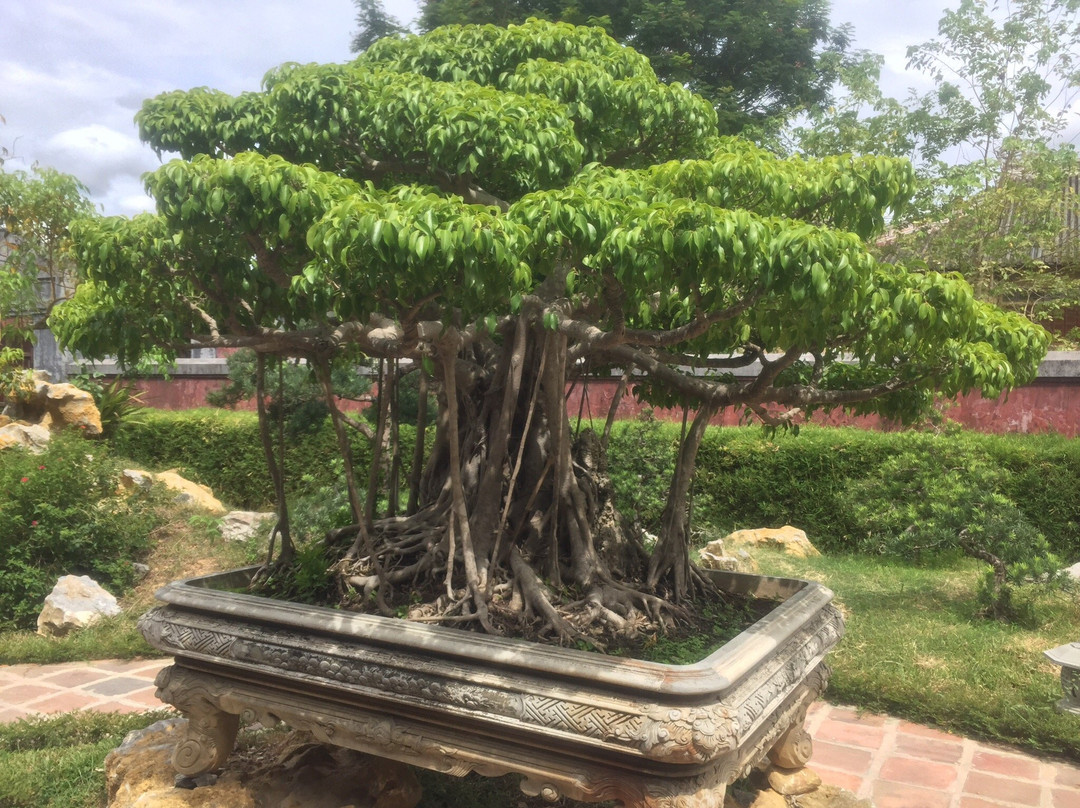 Hue Private Tours景点图片