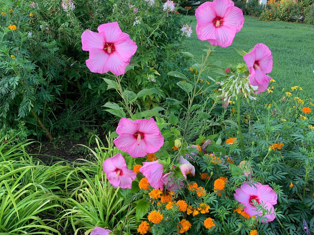 St. George's Bay Country Club主图