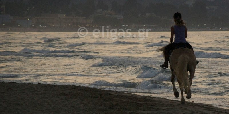 Eligas Studios & Apartments主图