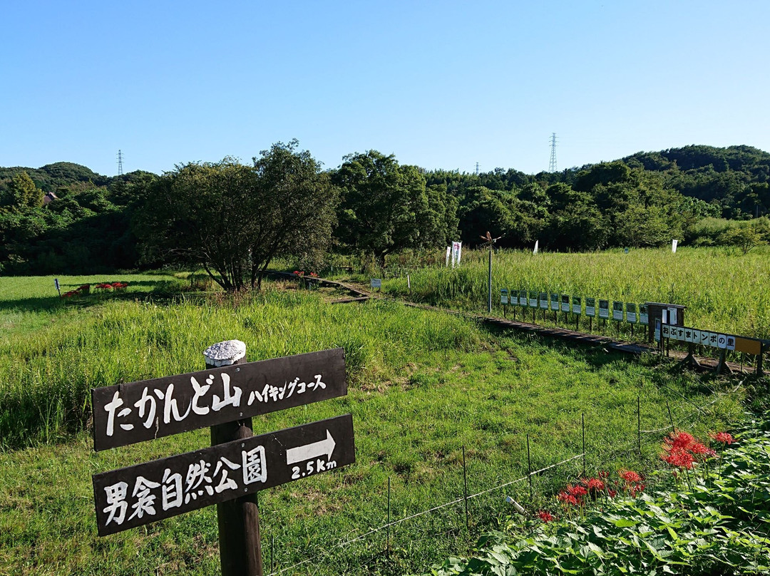 Dragonfly Village Park