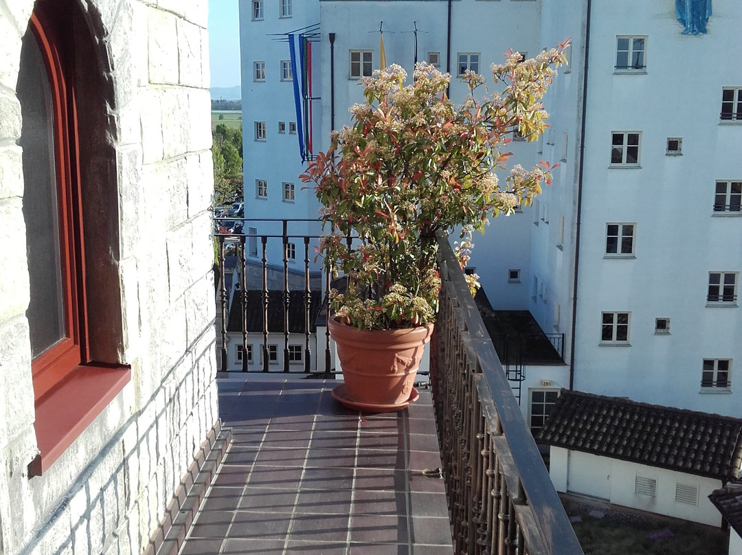 Castle Hotel Castillo Alcazar主图