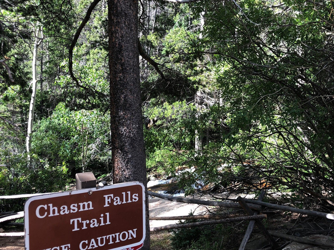 Chasm Falls景点图片